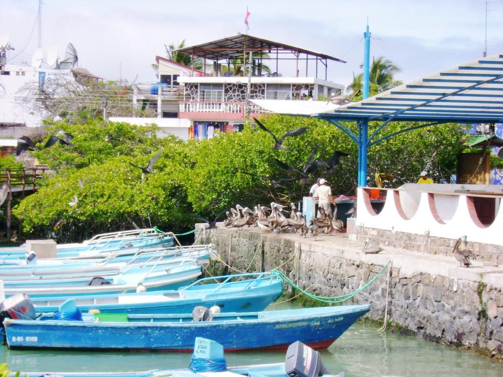 Hotel Pelican Bay ปูแอร์โตอาโยรา ภายนอก รูปภาพ